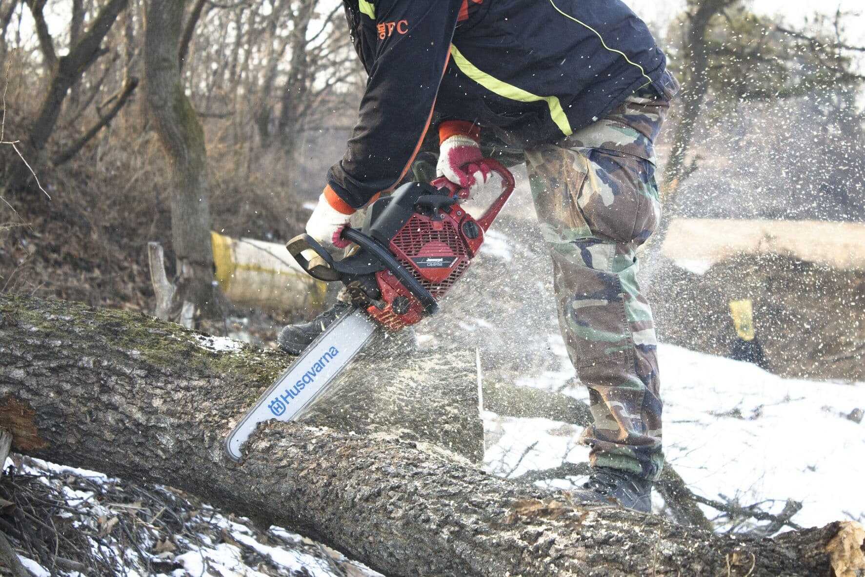 A brikettek miatt nem vágunk ki fákat